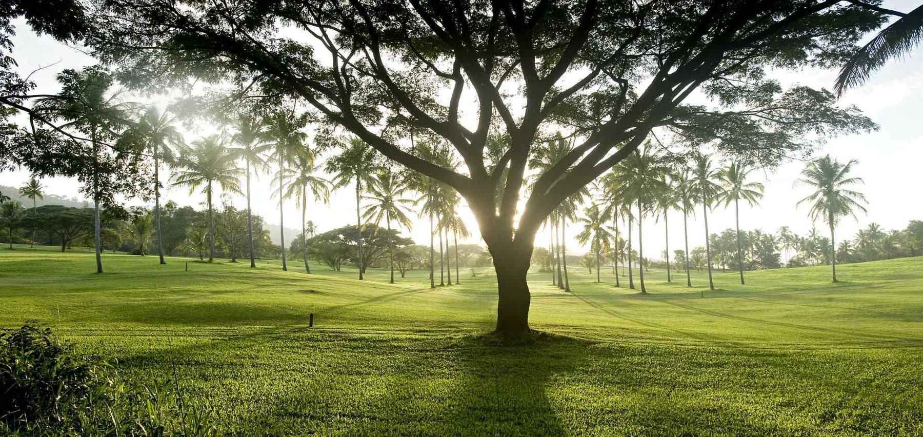 Victoria Golf Resort in the hill country above Kandy