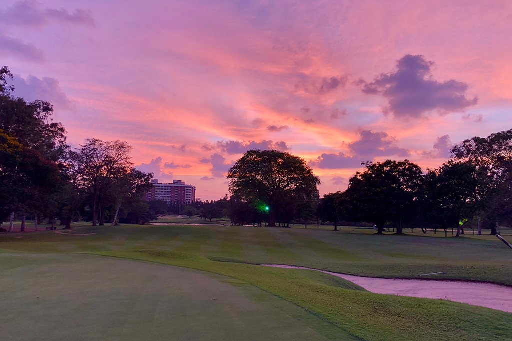 Sunset over Royal Colombo Golf Club, pink and purple sky behind the trees
