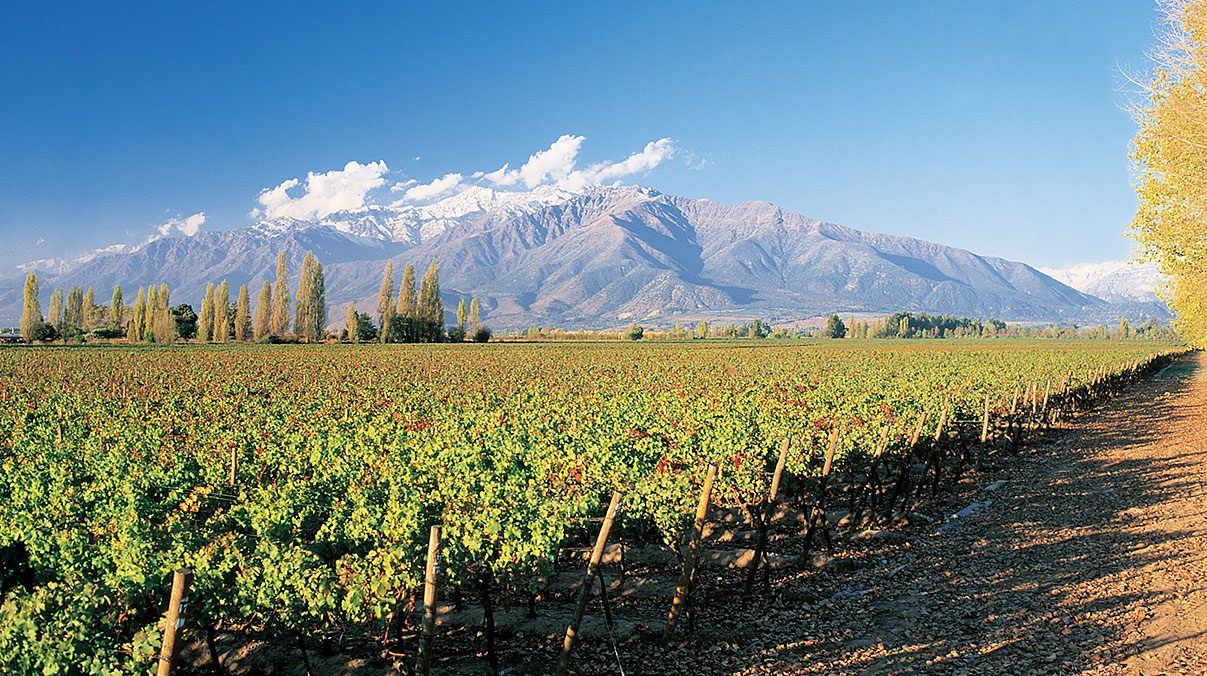 Argentina and Chile: Golf Across the Andes