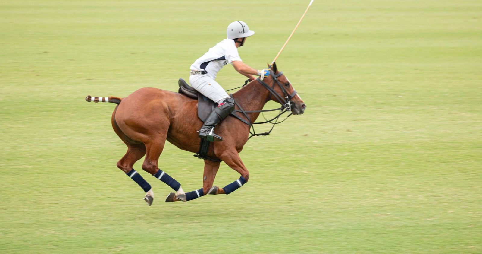 Polo in Argentina