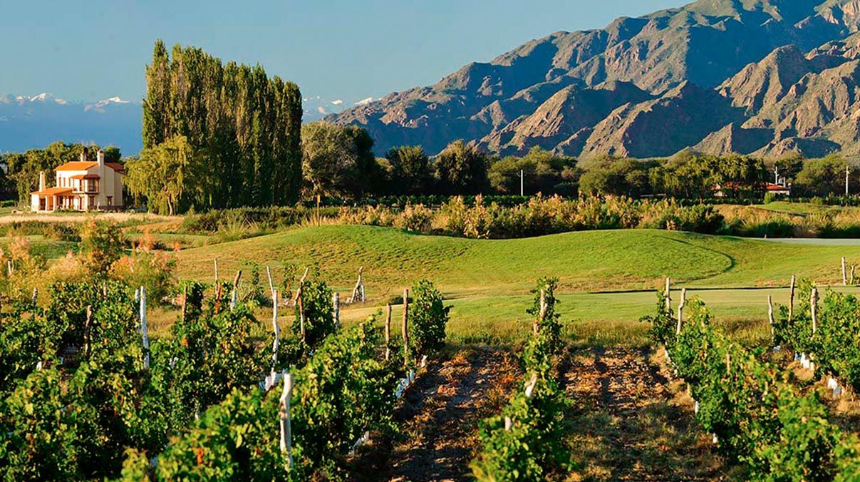 Tupungato Winelands
