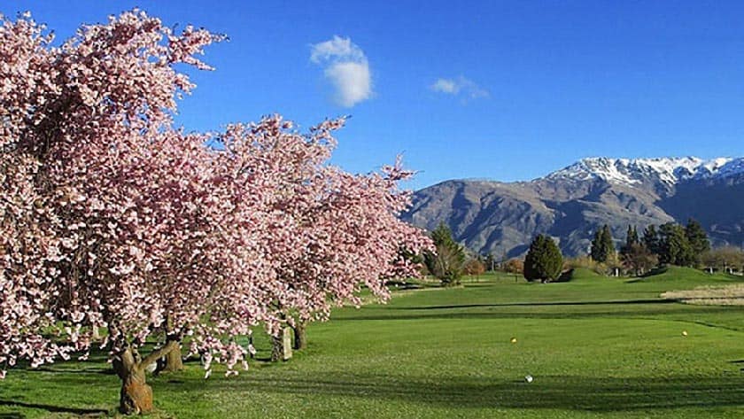 Arrowtown Golf Club