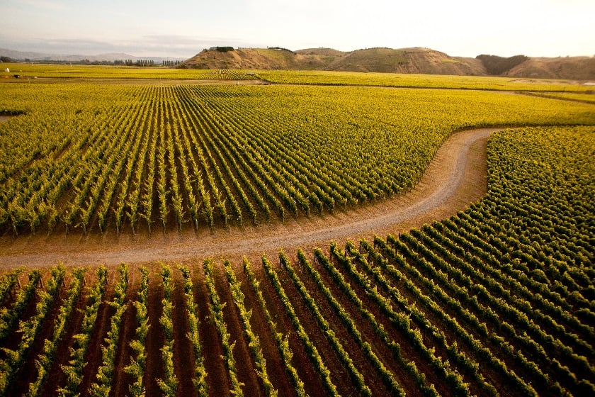 New Zealand Golf and Wine