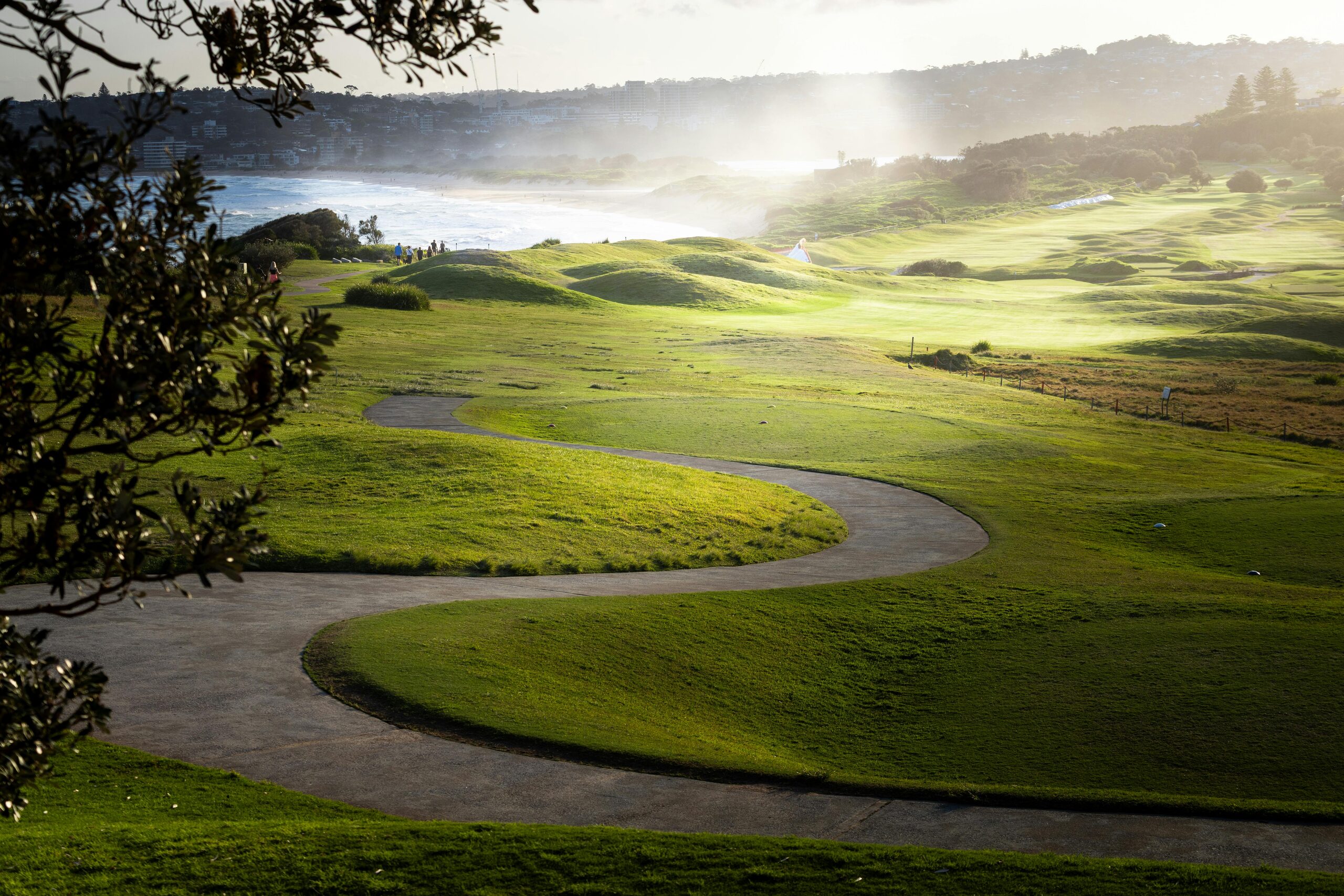Golf in South Africa
