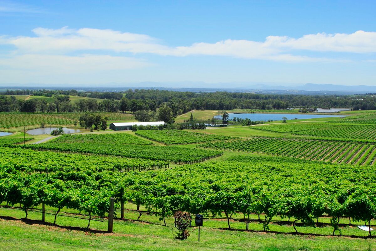 The Yarra Valley